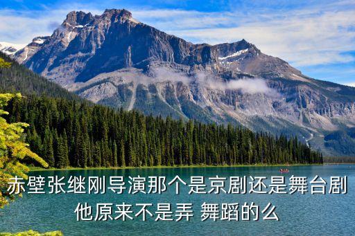 一把酸枣舞蹈视频教学,春晚一把酸枣的舞蹈视频