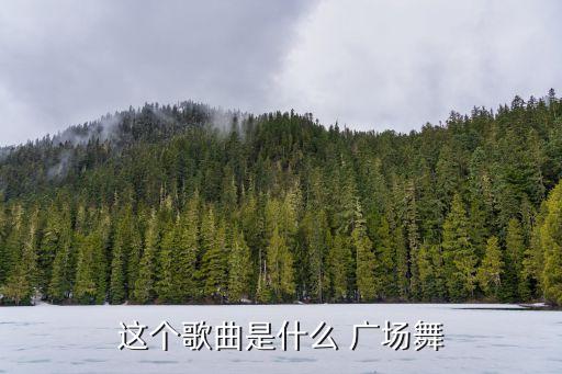 这个歌曲是什么 广场舞