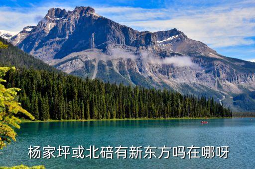 杨家坪附近舞蹈培训班,附近的舞蹈培训班成人在哪里