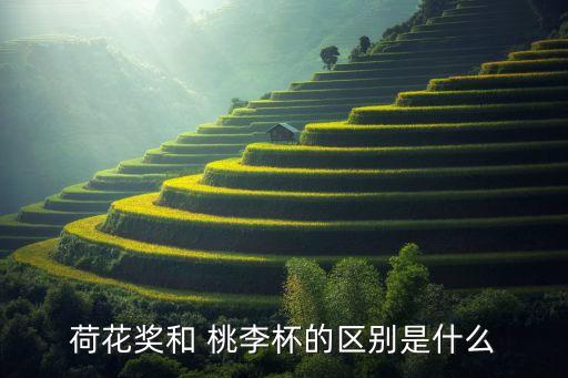 荷花奖和 桃李杯的区别是什么