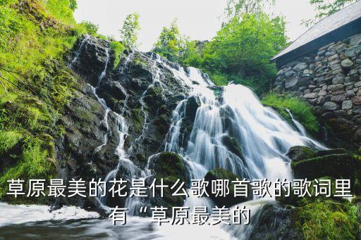 草原最美的花是什么歌哪首歌的歌词里有“草原最美的