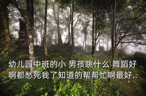 幼儿园中班的小 男孩跳什么 舞蹈好啊都愁死我了知道的帮帮忙啊最好...