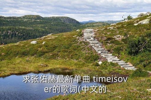 求张佑赫最新单曲 timeisover的歌词(中文的