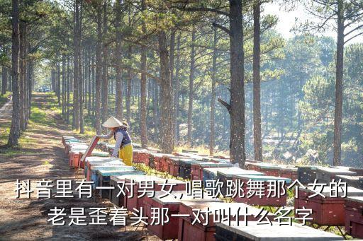 抖音里有一对男女,唱歌跳舞那个女的老是歪着头那一对叫什么名字