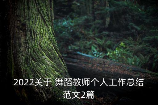 2022关于 舞蹈教师个人工作总结范文2篇