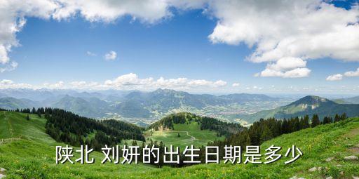 陕北 刘妍的出生日期是多少