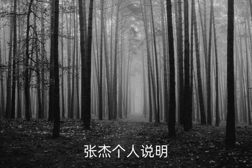 张杰个人说明