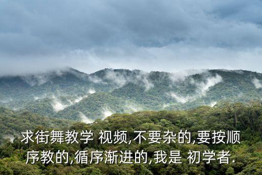 求街舞教学 视频,不要杂的,要按顺序教的,循序渐进的,我是 初学者.