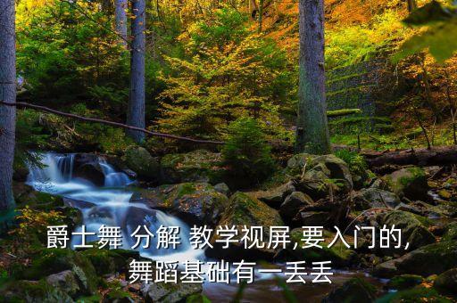 爵士舞 分解 教学视屏,要入门的, 舞蹈基础有一丢丢
