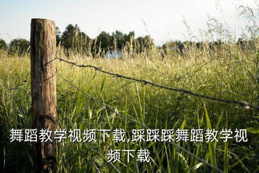 跳了舞蹈教学视频下载,踩踩踩舞蹈教学视频下载