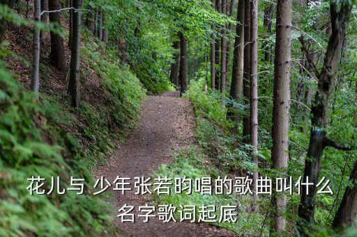  花儿与 少年张若昀唱的歌曲叫什么名字歌词起底