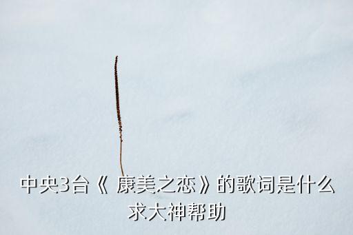 中央3台《 康美之恋》的歌词是什么求大神帮助