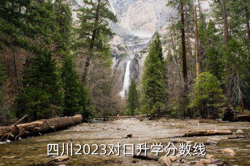  四川2023对口升学分数线