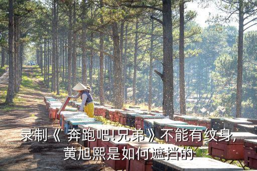 录制《 奔跑吧!兄弟》不能有纹身,黄旭熙是如何遮挡的