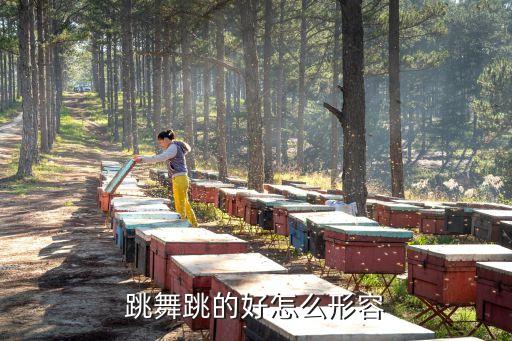跳舞跳的好怎么形容