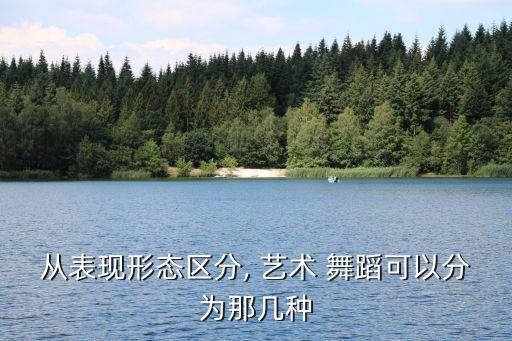 从表现形态区分, 艺术 舞蹈可以分为那几种