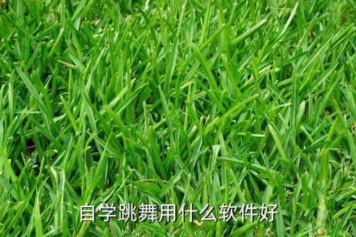 手机舞蹈版排行榜,舞蹈品牌排行榜前十名
