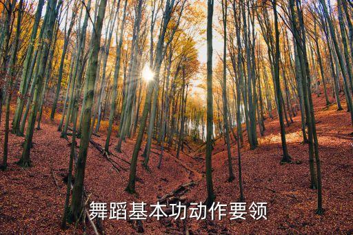舞蹈地面技巧