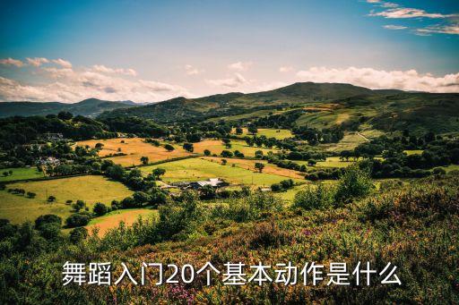 简单易学的腿部舞蹈,舞蹈视频简单易学好看