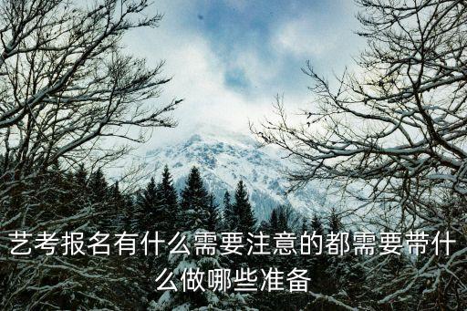 艺考报名有什么需要注意的都需要带什么做哪些准备