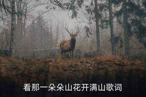 菊花爆满山女生舞蹈