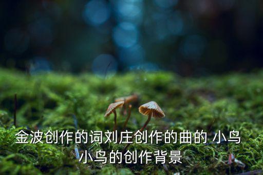 金波创作的词刘庄创作的曲的 小鸟 小鸟的创作背景