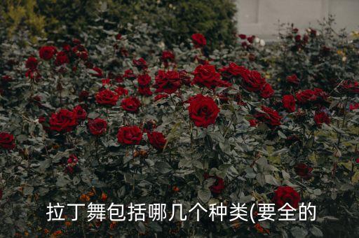  拉丁舞包括哪几个种类(要全的