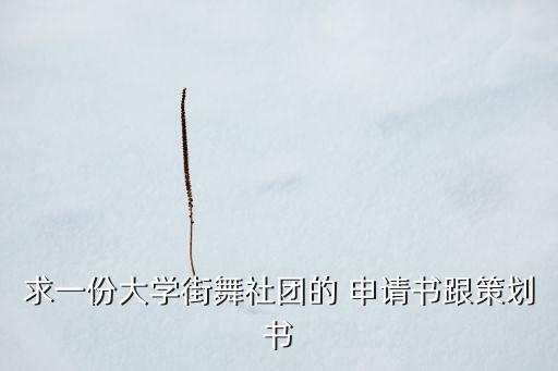 求一份大学街舞社团的 申请书跟策划书