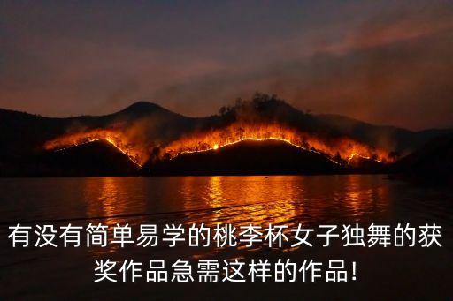 有没有简单易学的桃李杯女子独舞的获奖作品急需这样的作品!