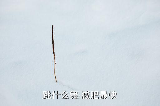 跳什么舞 减肥最快
