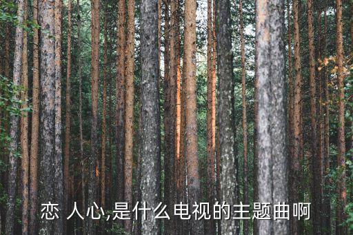 恋 人心,是什么电视的主题曲啊