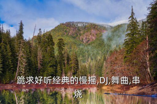 跪求好听经典的慢摇,DJ,舞曲,串烧
