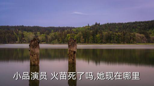 舞蹈火苗