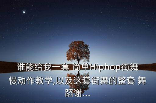 谁能给我一套 简单Hiphop街舞慢动作教学,以及这套街舞的整套 舞蹈谢...