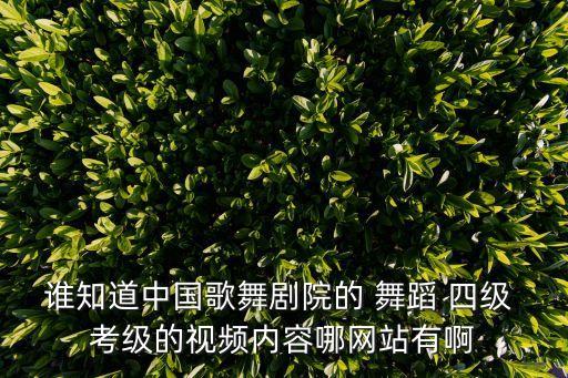 谁知道中国歌舞剧院的 舞蹈 四级 考级的视频内容哪网站有啊