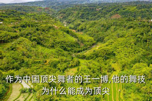 中国个人舞蹈,适合8个人舞蹈视频