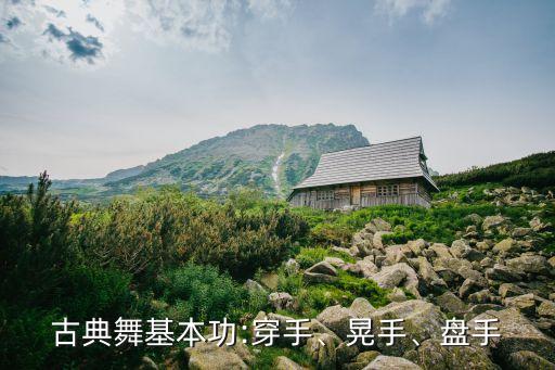 古典舞基本功:穿手、晃手、盘手