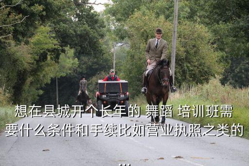 想在县城开个长年的 舞蹈 培训班需要什么条件和手续比如营业执照之类的...