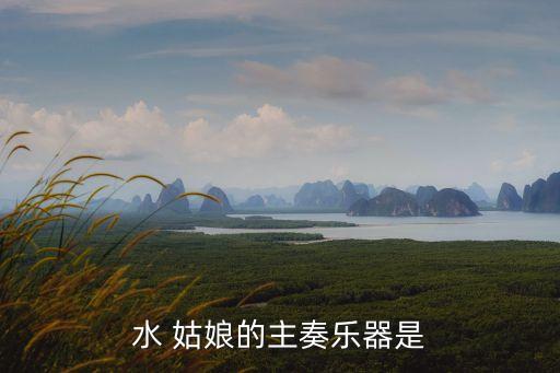 水 姑娘的主奏乐器是