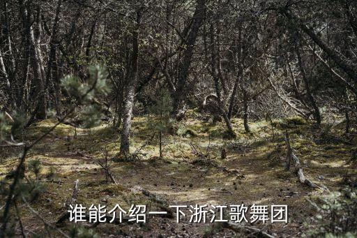 谁能介绍一下浙江歌舞团