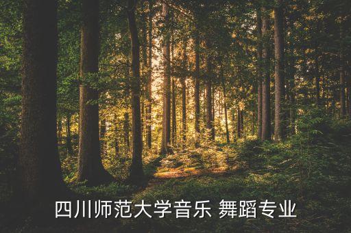 四川师范大学音乐 舞蹈专业