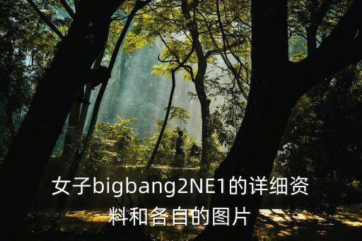 女子bigbang2NE1的详细资料和各自的图片