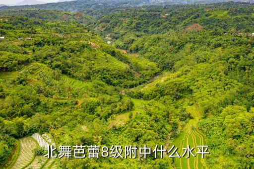 北舞芭蕾8级附中什么水平