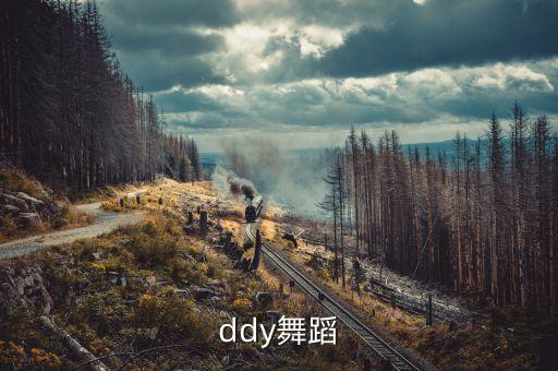 ddy舞蹈