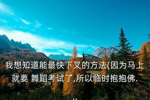 我想知道能最快下叉的方法(因为马上就要 舞蹈考试了,所以临时抱抱佛...