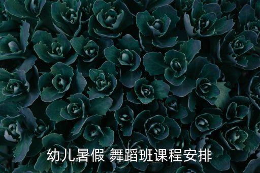 幼儿暑假 舞蹈班课程安排