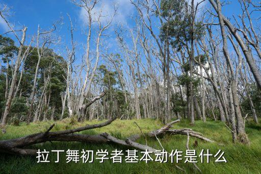 拉丁舞教学舞蹈