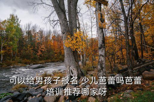 可以给男孩子报名 少儿芭蕾吗芭蕾 培训推荐哪家呀