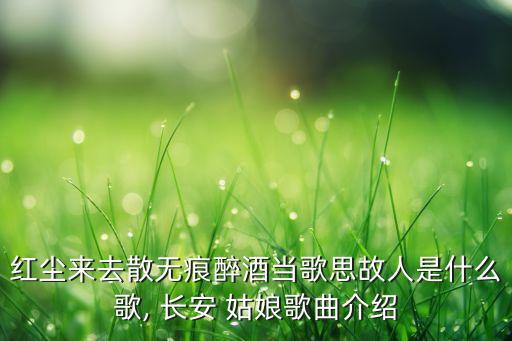 红尘来去散无痕醉酒当歌思故人是什么歌, 长安 姑娘歌曲介绍