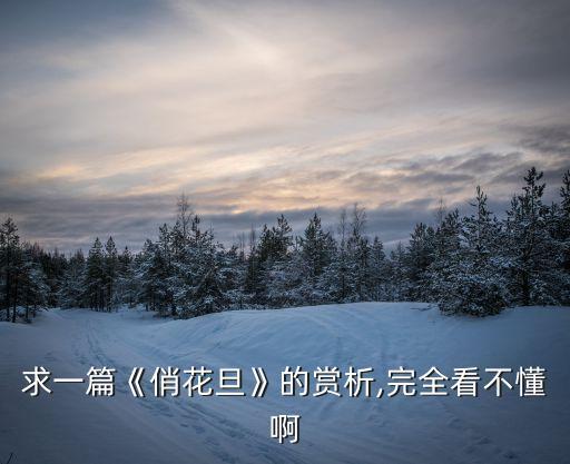 求一篇《俏花旦》的赏析,完全看不懂啊